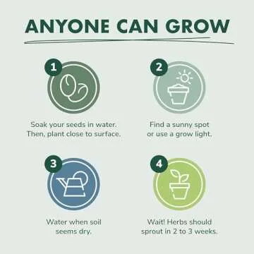 Indoor Herb Garden Kit - Grow Fresh Basil, Parsley & More