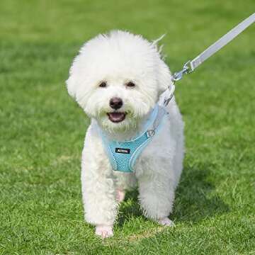 AIITLE Comfortable Dog Harness and Leash Set for Walking - Spring Step in Vest Harness,Reflective Bands, Adjustable No Pull Puppy Essentials, for Small Dogs and House Cats Blue XS