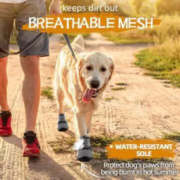 Durable Dog Shoes for Large Dogs & Paw Protection