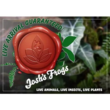 Sprig & Stone Foliage Plant Bundle - 5 Unique Plants