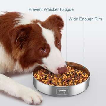 Feedoo Stainless Steel Dog Bowl, Non-Slip Dog Bowl with Rubber Base, Shallow Wide Rim Design, Tip-Resistant and Rust-Resistant, Heavy Duty Pet Bowl, Holds 5cups(42oz)