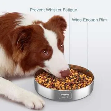 Feedoo Stainless Steel Non-Slip Dog Bowl for Easy Mealtimes