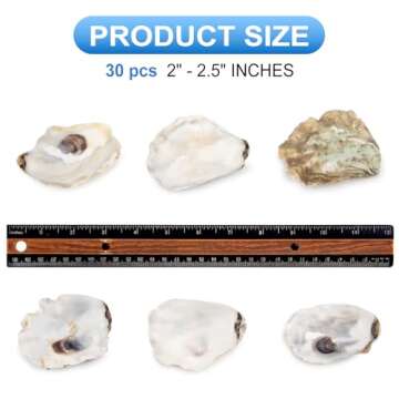 QEQEKAKA 30PCS Oyster Shells - Natural Crafting Supplies for All Occasions