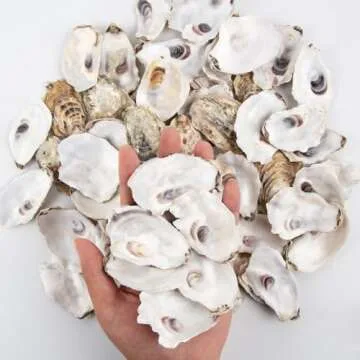 QEQEKAKA 30PCS Natural Oyster Shells for Crafts
