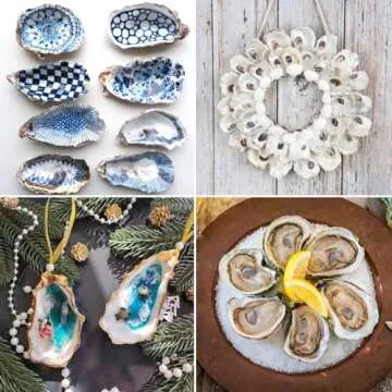 QEQEKAKA 30PCS Natural Oyster Shells for Crafts