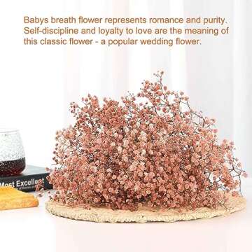 Babys Breath Dried Flowers Bouquet-17'' 2500+ Ivory Dry Flowers, Natural Gypsophila Branches for Wed...
