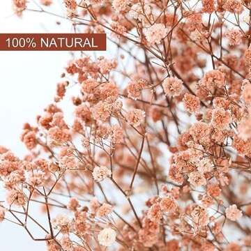 Babys Breath Dried Flowers Bouquet-17'' 2500+ Ivory Dry Flowers, Natural Gypsophila Branches for Wedding, Home Table Vase Decor, DIY Wreath Floral, Fall Thanksgiving Autumn Decoration (Brown, 3oz)