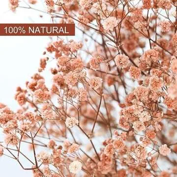 Babys Breath Dried Flowers Bouquet-17'' 2500+ Ivory Dry Flowers, Natural Gypsophila Branches for Wedding, Home Table Vase Decor, DIY Wreath Floral, Fall Thanksgiving Autumn Decoration (Brown, 3oz)