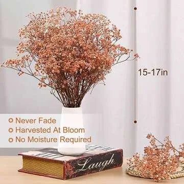 Babys Breath Dried Flowers Bouquet-17'' 2500+ Ivory Dry Flowers, Natural Gypsophila Branches for Wedding, Home Table Vase Decor, DIY Wreath Floral, Fall Thanksgiving Autumn Decoration (Brown, 3oz)