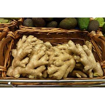 Fresh Ginger 2 lbs. Save Money.