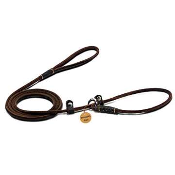 Wellbro Adjustable Slip Dog Leash for Small Dogs