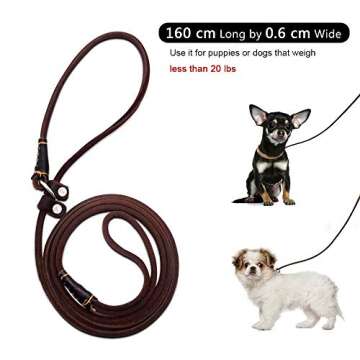 Wellbro Adjustable Slip Dog Leash for Small Dogs