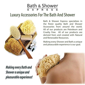 Sea Wool Sponge - Natural Exfoliating Bathing Essential