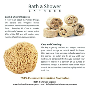 Sea Wool Sponge - Natural Exfoliating Bathing Essential