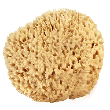 Sea Wool Sponge - Natural Exfoliating Bathing Essential