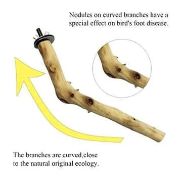 Hamiledyi Wood Bird Perch Stand Parrot Stand Branch Natural Wood Stick Paw Grinding Cage Accessories for Small Birds Parrots Parakeets Cockatiels Conures Lovebirds(2 Pcs)