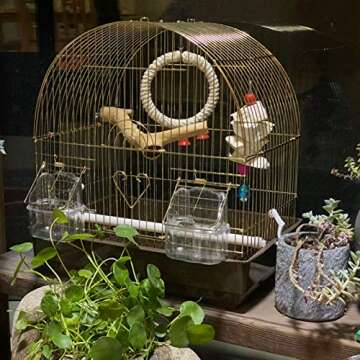 Hamiledyi Wood Bird Perch Stand Parrot Stand Branch Natural Wood Stick Paw Grinding Cage Accessories for Small Birds Parrots Parakeets Cockatiels Conures Lovebirds(2 Pcs)