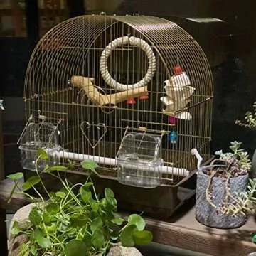 Hamiledyi Wood Bird Perch Stand Parrot Stand Branch Natural Wood Stick Paw Grinding Cage Accessories for Small Birds Parrots Parakeets Cockatiels Conures Lovebirds(2 Pcs)