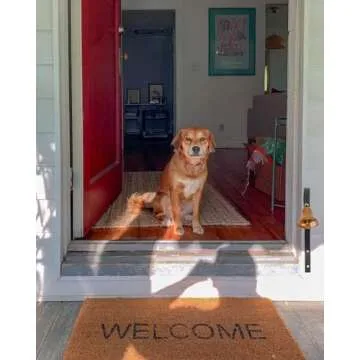 GoldTiger Dog Bell - Essential for Potty Training