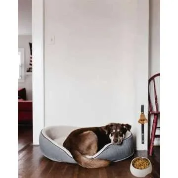 GoldTiger Dog Bell - Essential for Potty Training