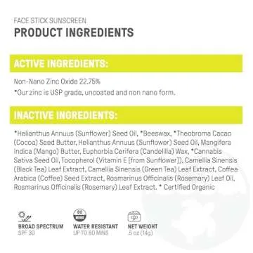 Raw Elements Face All-Natural Mineral Sunscreen Stick, Non-Nano Zinc Oxide, 95% Organic, Water-Resistant 80 Min, Reef Safe, All Ages Safe, SPF 30+, Travel Sunblock 0.5 oz