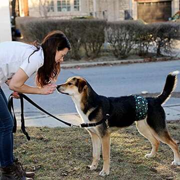 Leekalos Male Dog Diapers (3 Pack), High Absorbing Dog Belly Bands for Male Dogs, Washable Reusable Dog Male Wraps (Black, Blue, Grey, Small)