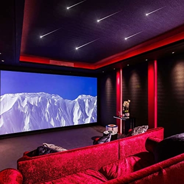 CHINLY 96pcs 12LEDs Fiber Optic Lights Kit - Remote/APP