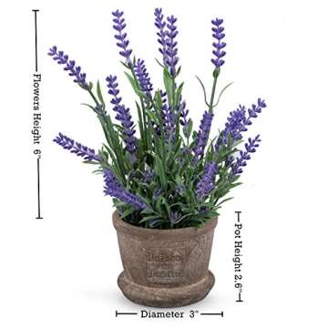 Set of 2 Louis Garden Artificial Mini Potted Plants Home Decoration … (Daisy) (Lavender)