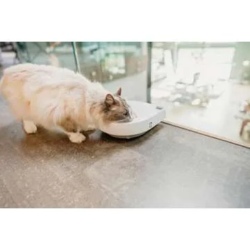 Cat Mate C300 Automatic Digital Pet Feeder for Dogs and Cats BPA and BHT Free with Ice Pack