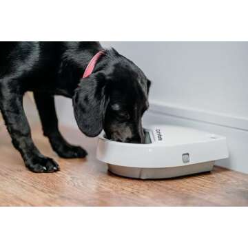 Cat Mate C300 Automatic Digital Pet Feeder for Dogs and Cats BPA and BHT Free with Ice Pack
