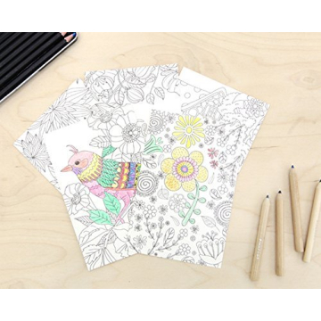 Creative Adult Coloring Postcards for Relaxation and Connection