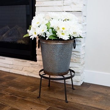 Achla Designs Argyle Wrought Iron Plant Stand for Indoor Outdoor