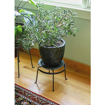 Achla Designs Argyle Wrought Iron Plant Stand for Indoor Outdoor