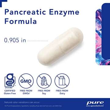 Pure Encapsulations Pancreatic Enzyme Formula - Digestive Enzymes for Digestion - Strengthens Gut Health* - Targeted Delivery Capsules - Gluten Free & Non-GMO - 60 Capsules