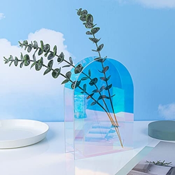 Iridescent Acrylic Vase for Home Office Decor