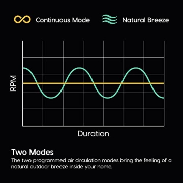 Stylish WOOZOO Fan with Remote & Oscillation for Comfort