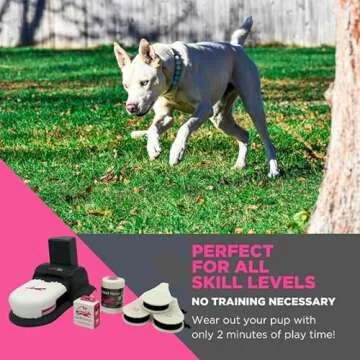 Swift Paws Home Plus Remote Control Toy for Dogs