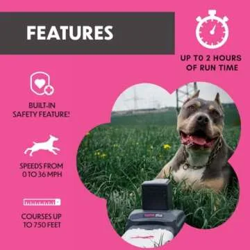 Swift Paws Home Plus Remote Control Toy for Dogs