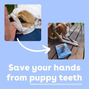 Pupford Bully Sticks for Dogs & Puppies - Natural Treats