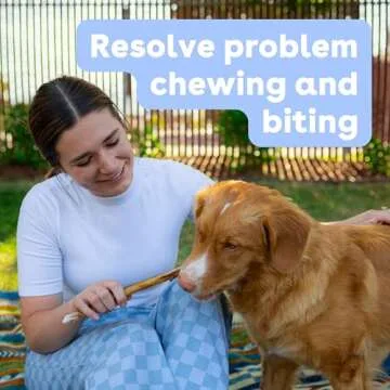 Pupford Bully Sticks for Dogs & Puppies - Natural Treats