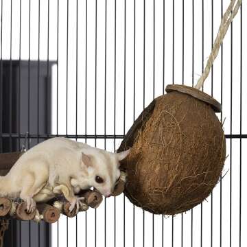 Coco Hideaway Bird Toy with Ladder by Prevue Hendryx