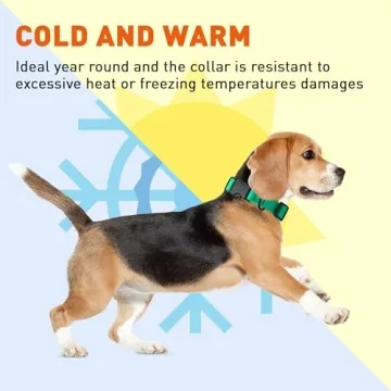 Dogline Waterproof Dog Collar for All Breeds