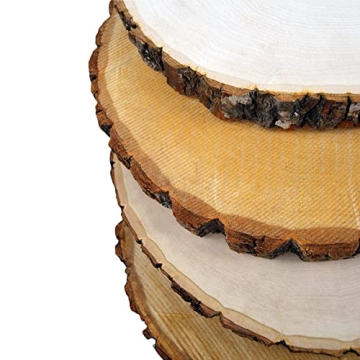 Wilson Basswood Round Rustic Wood Slices for Crafts