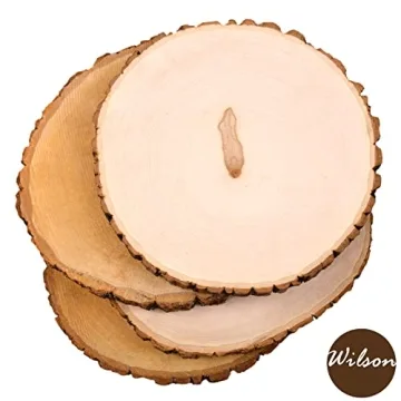 Wilson Basswood Round Rustic Wood Slices for Crafts