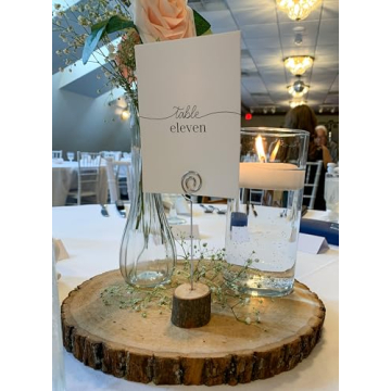 Wilson Basswood Round Rustic Wood Slices for Crafts