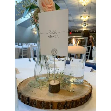 Wilson Basswood Round Rustic Wood Slices for Crafts