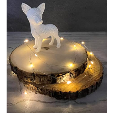 Wilson Basswood Round Rustic Wood Slices for Crafts