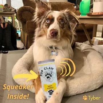 Funny Plush Dog Toys with Squeaker – Pup Claw 2 Pack