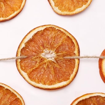 10 ft Dried Orange Slice Garland for Christmas Decor