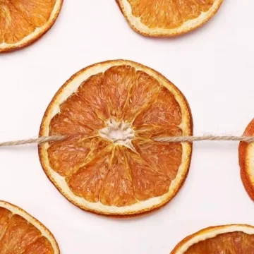 10 ft Dried Orange Slice Garland for Christmas Decor